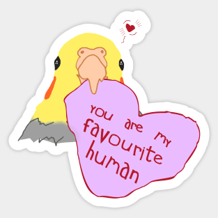 you are my favourite human Sticker